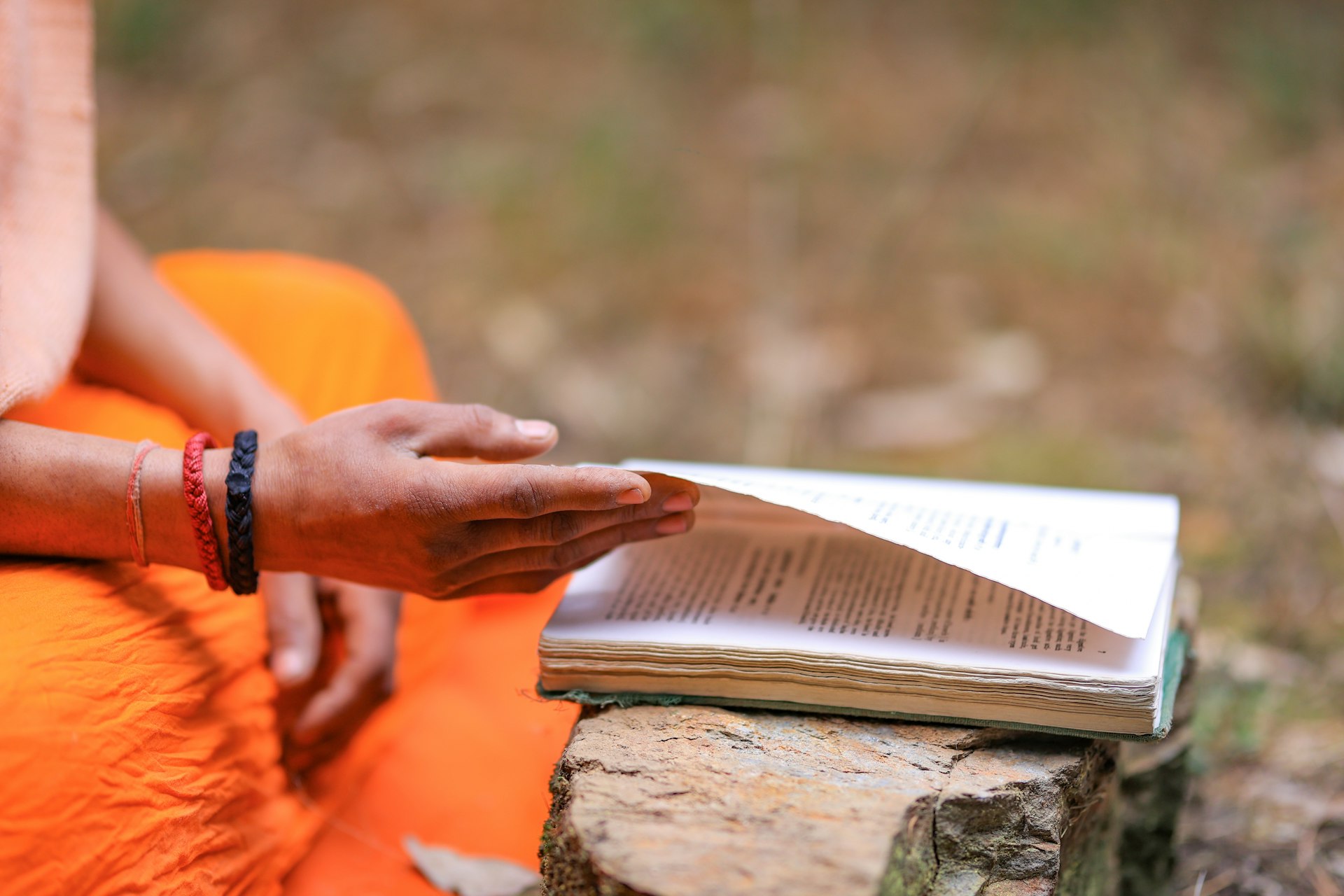 A person sitting on a log with a book